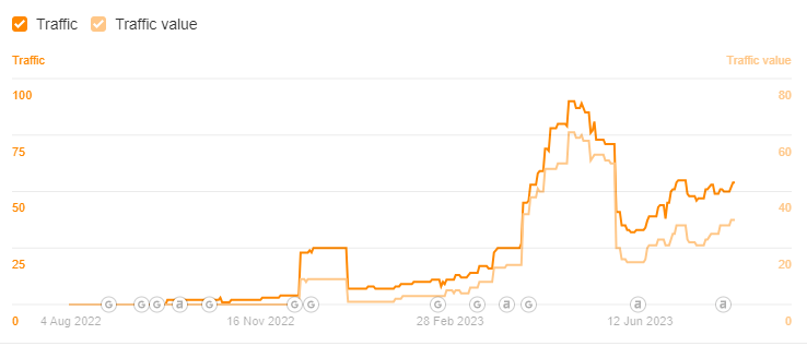 Organic Traffic for Hemp Shoes Company