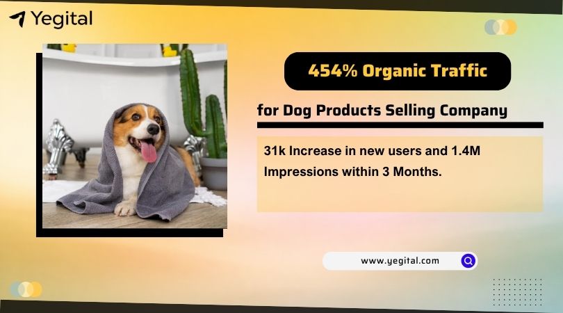 Dog Products Case Study