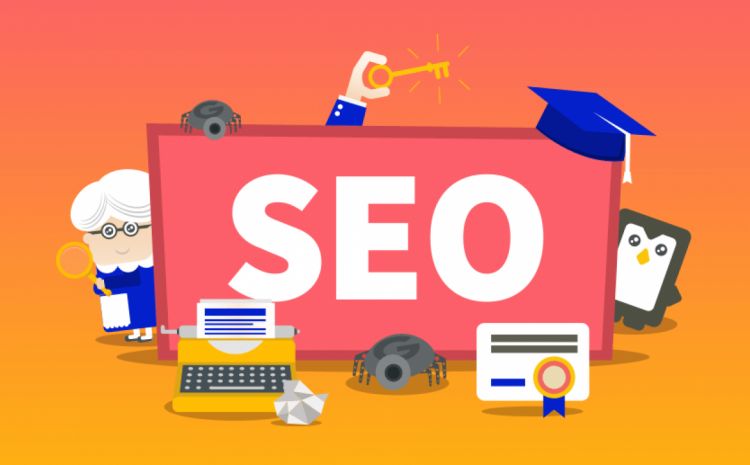 seo training vadodara